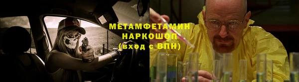 крисы Алексин