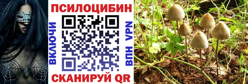 Псилоцибиновые грибы Cubensis Никольское